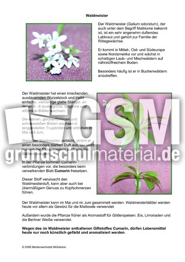 Waldmeister.pdf